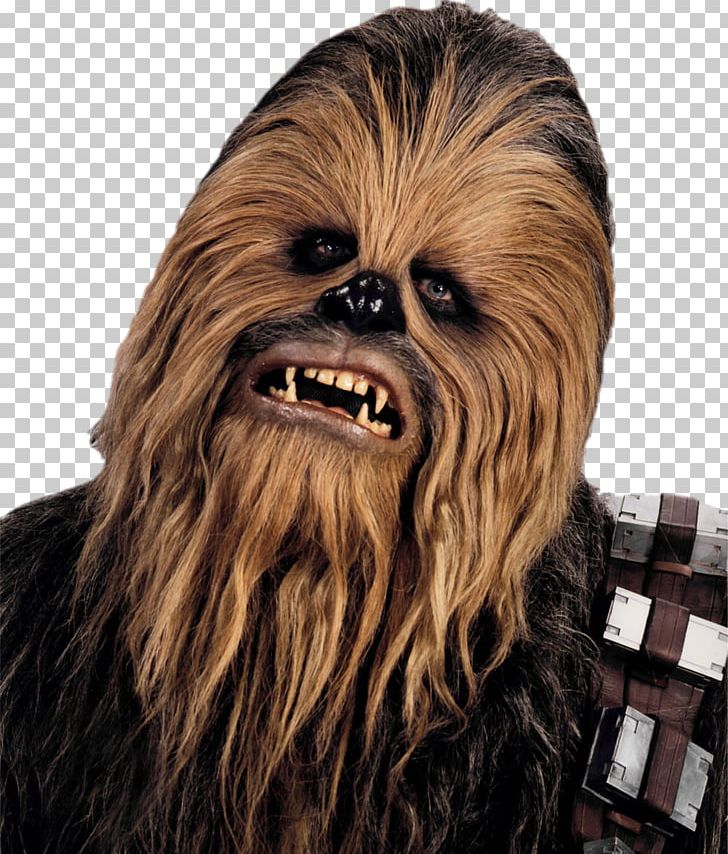 Chewbacca Han Solo Star Wars Wookiee Actor PNG, Clipart, Actor, Character, Chewbacca, Chewbacca Png, Dog Breed Free PNG Download