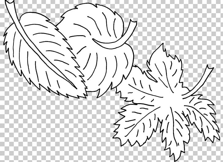 Floral Design Drawing Visual Arts PNG, Clipart, Art, Artwork, Black, Black And White, Branch Free PNG Download