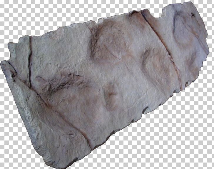 Fur PNG, Clipart, Fur, Others, Paleontology, Rock Free PNG Download