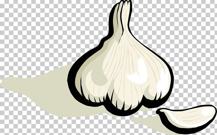 Garlic Bread Onion PNG, Clipart, Beak, Bird, Black And White, Clove, Download Free PNG Download