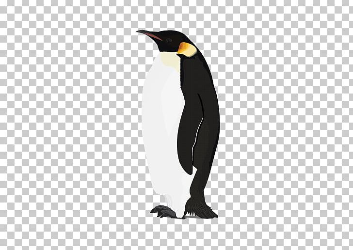 Penguin PNG, Clipart, Animals, Beak, Bird, Chinstrap Penguin, Desktop Wallpaper Free PNG Download
