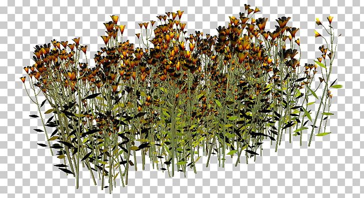 PhotoScape GIMP PNG, Clipart, Flower, Gimp, Grass, Herb, Herbaceous Plant Free PNG Download