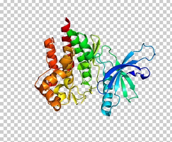 Tyrosine Kinase 2 Receptor Tyrosine Kinase PNG, Clipart, Art, Artwork, Focal Adhesion, Food, Jakstat Signaling Pathway Free PNG Download