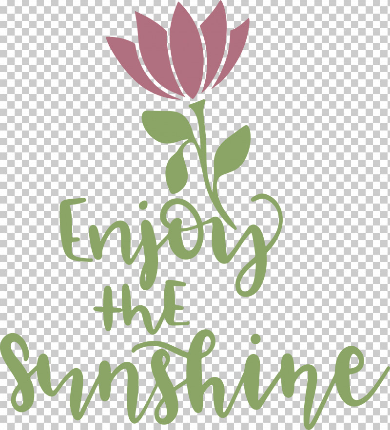 Sunshine Enjoy The Sunshine PNG, Clipart, Biology, Cut Flowers, Floral Design, Flower, Leaf Free PNG Download