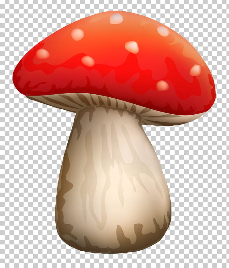 Common Mushroom Fungus PNG, Clipart, Amanita Muscaria, Common Mushroom, Computer Icons, Death Cap, Edible Mushroom Free PNG Download