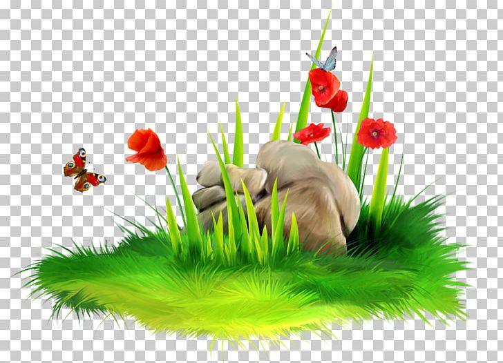 Computer Wallpaper Color Grass PNG, Clipart, Color, Computer Wallpaper, Download, Floral Design, Floristry Free PNG Download