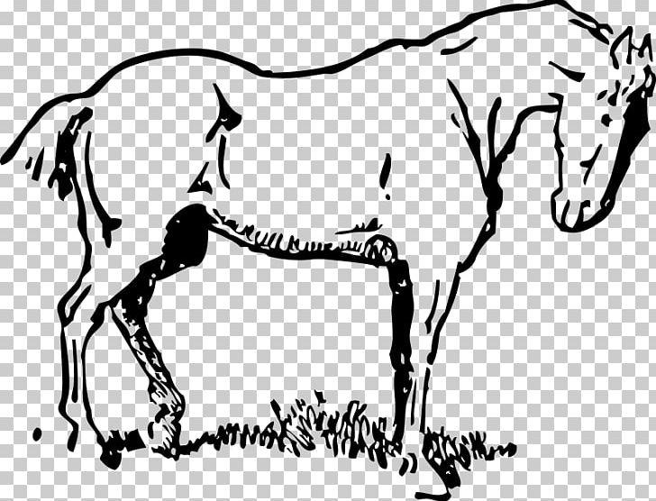 Mustang Draft Horse Tennessee Walking Horse PNG, Clipart, Art, Artwork, Black And White, Eye, Fictional Character Free PNG Download