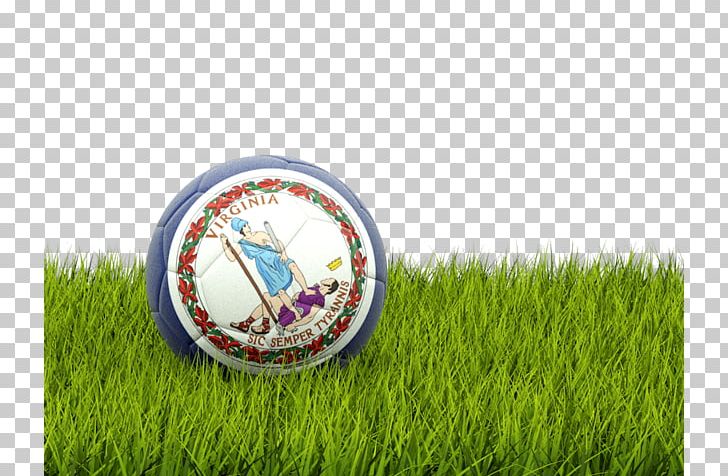 Portugal National Football Team England National Football Team World Cup Iceland National Football Team PNG, Clipart, Bangladesh National Football Team, Flag Football, Football Association, Football Player, Football Team Free PNG Download