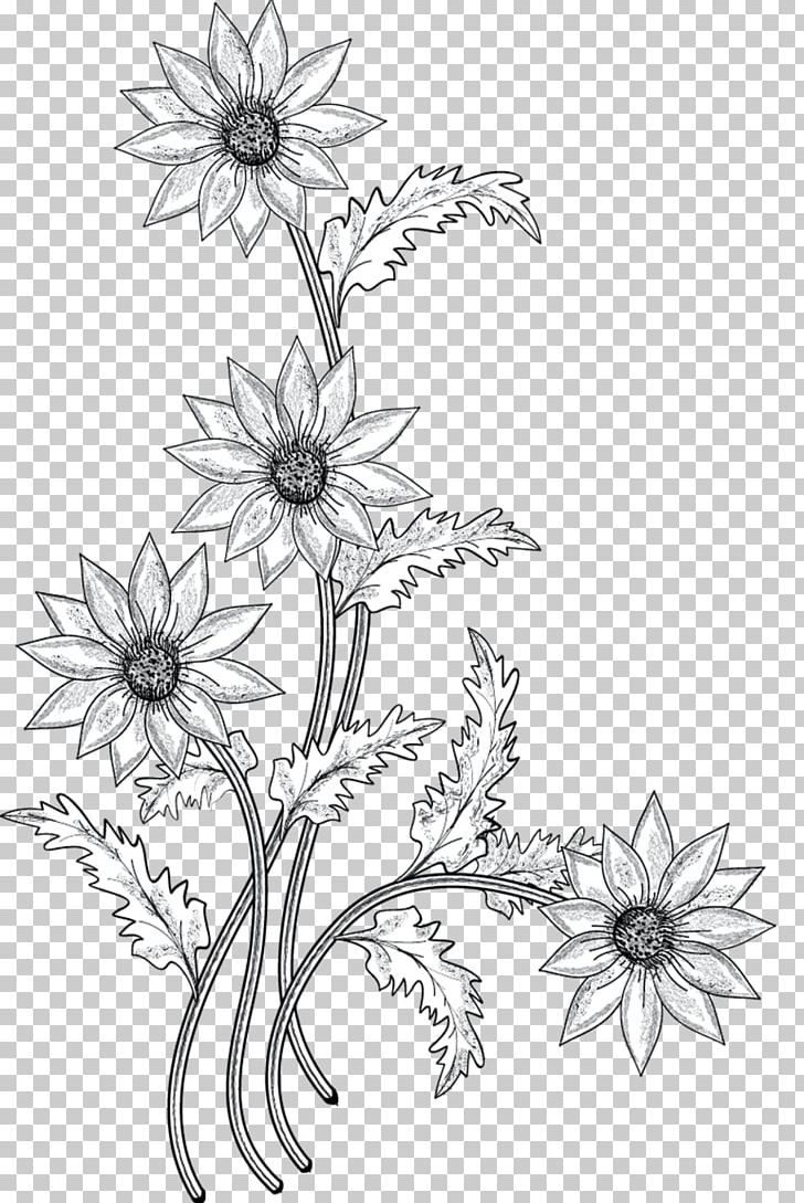 Flower Drawing PNG, Clipart, Area, Artwork, Black And White, Branch, Clip Art Free PNG Download