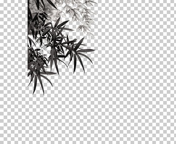 Xihu District PNG, Clipart, Antiquity, Bamboo, Bamboo Leaves, Black And White, Cdr Free PNG Download