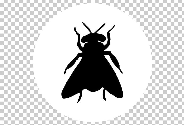 Bee Pest Control Wasp Millipedes PNG, Clipart,  Free PNG Download