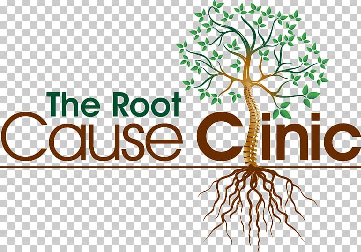 The Root Cause Clinic Hospital Tampa PNG, Clipart, Branch, Brand, Causality, Chiropractic, Clinic Free PNG Download