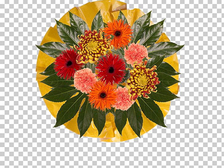 Transvaal Daisy Floral Design Flower Bouquet Cut Flowers PNG, Clipart, 3d Flowers, Alstroemeriaceae, Annual Plant, Bride, Cut Flowers Free PNG Download