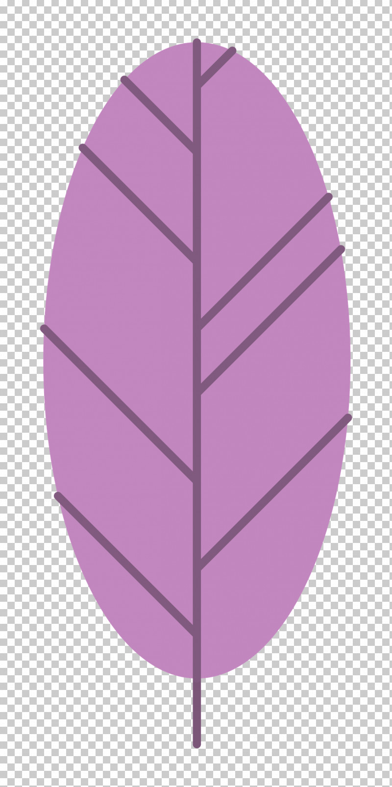 Lavender PNG, Clipart, Angle, Biology, Geometry, Lavender, Leaf Free PNG Download