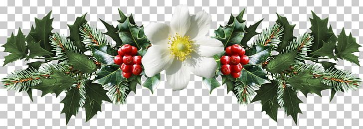 Common Holly Mistletoe Christmas PNG, Clipart, Aquifoliaceae, Branch, Christmas, Common Holly, Computer Icons Free PNG Download