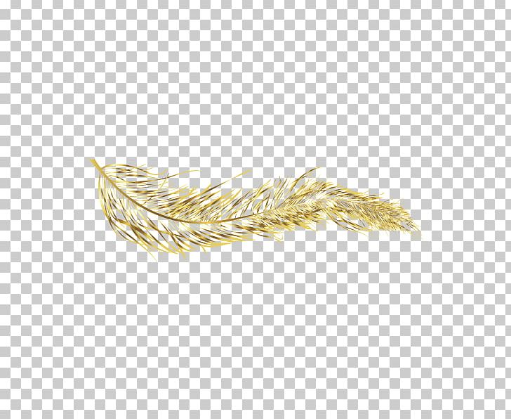 feather vector png