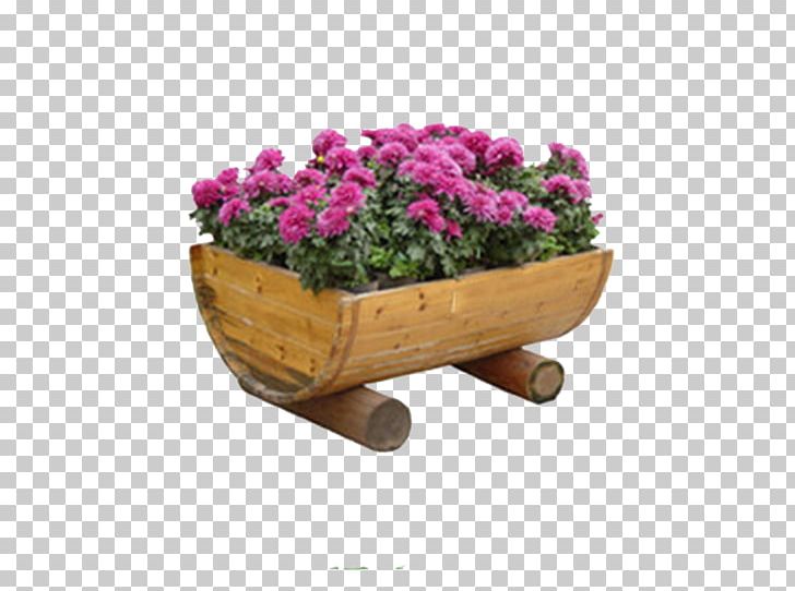 Flowerpot Plate-bande PNG, Clipart, Chrysanthemum Chrysanthemum, Chrysanthemum Flowers, Chrysanthemums, Chrysanthemum Tea, Cre Free PNG Download