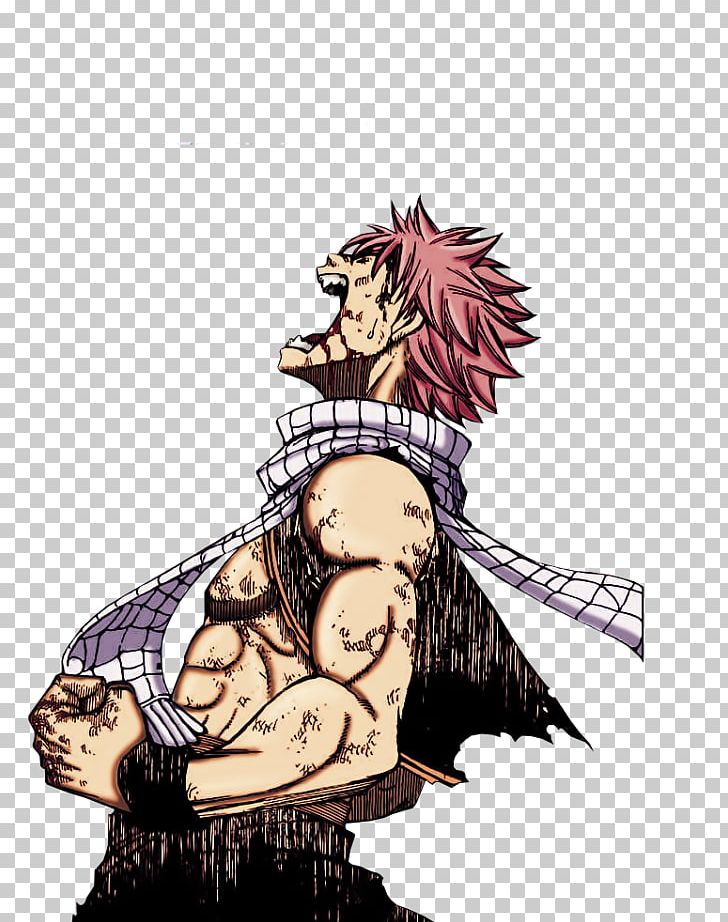 Natsu Dragneel Erza Scarlet Wendy Marvell Gray Fullbuster Fairy Tail PNG, Clipart, Anime, Art, Avatan, Avatan Plus, Cartoon Free PNG Download