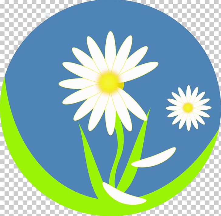 Clanwilliam Wild Flower Show Company East Renfrewshire Renfrewshire Carers Centre Organization PNG, Clipart, Artwork, Business, Charitable Organization, Circle, Company Free PNG Download