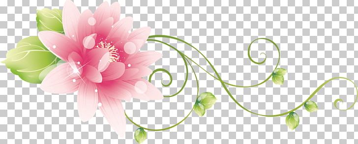 Floral Design Blog Flower เด็กดี.คอม PNG, Clipart, Aow, Artistic Inspiration, Blog, Blossom, Carnation Free PNG Download