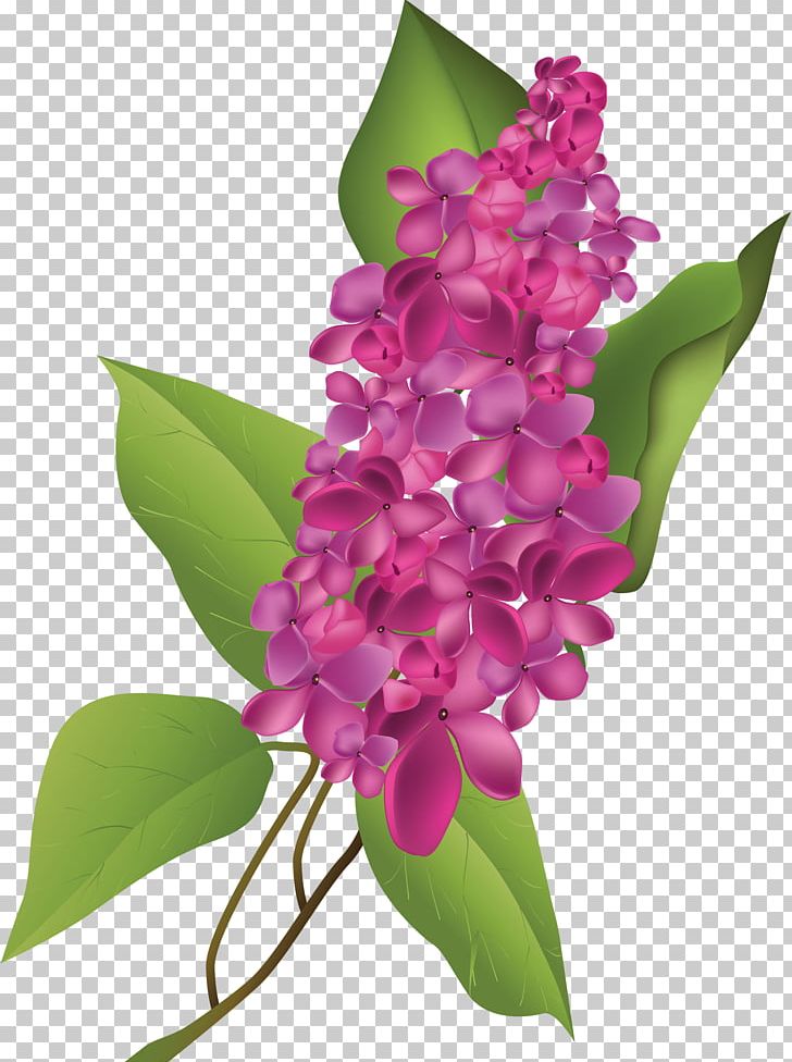 Flower Floral Design Common Lilac PNG, Clipart, Art, Common Lilac, Cut Flowers, Floral Design, Flower Free PNG Download