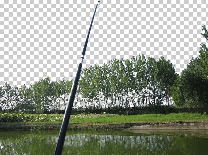 Angling Fishing Rod Recreation PNG, Clipart, Angling, Aquarium Fish, Daily, Download, Encapsulated Postscript Free PNG Download