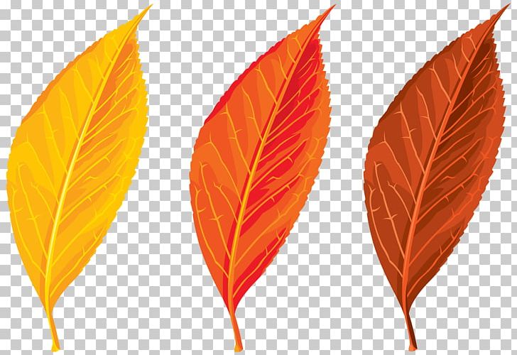 Autumn Leaf Color Autumn Leaf Color PNG, Clipart, Art, Autumn, Autumn Leaf Color, Blog, Clip Art Free PNG Download