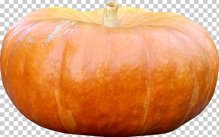Cucurbita Pumpkin Gourd Vegetable Winter Squash PNG, Clipart, Apple, Calabaza, Cucumber, Cucumber Gourd And Melon Family, Cucurbita Free PNG Download