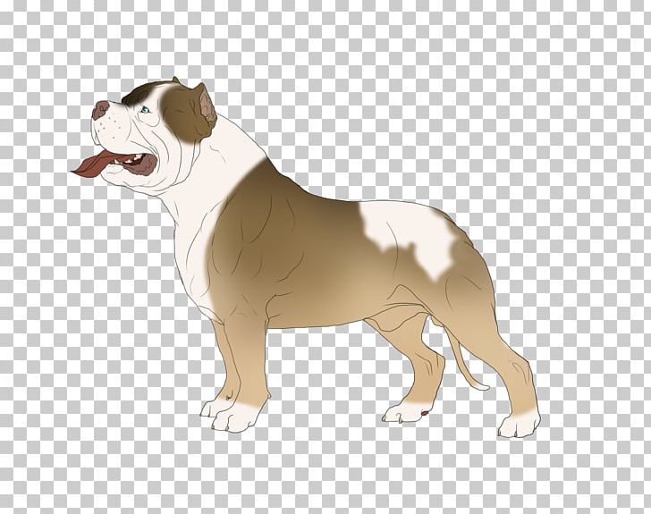 Dorset Olde Tyme Bulldogge Olde English Bulldogge Toy Bulldog American Bulldog Dog Breed PNG, Clipart, Americ, Animals, Breed, Bulldog, Bulldog Breeds Free PNG Download