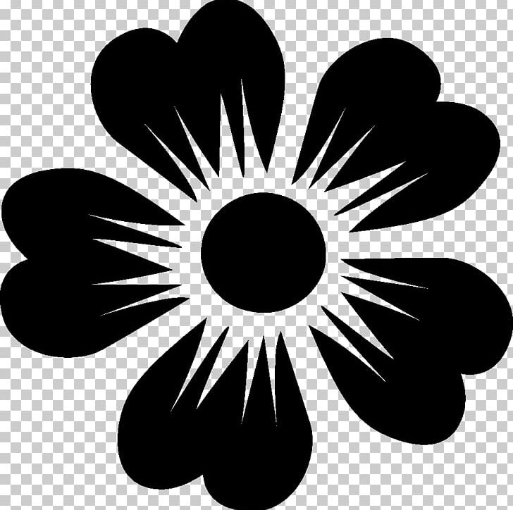 Petal Flower Wall PNG, Clipart, Black And White, Circle, Color, Flower, Flowering Plant Free PNG Download