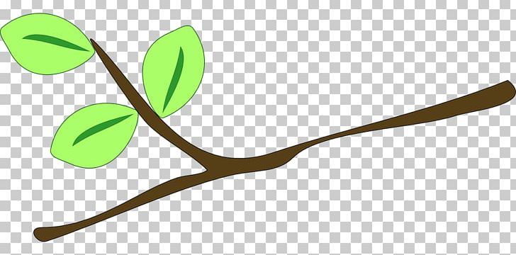 Twig Branch Drawing PNG, Clipart, Branch, Download, Drawing, Flower, Grass Free PNG Download
