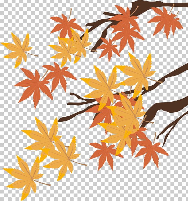 Autumn Drawing Graphic Arts Illustration PNG, Clipart, Autumn Leaf Color, Branch, Coreldraw, Decorative Arts, Flow Free PNG Download