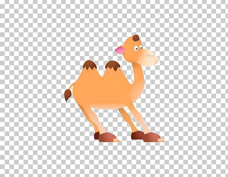 Bactrian Camel Cartoon Drawing PNG, Clipart, Animal, Animals, Arabian Camel, Bactrian Camel, Balloon Cartoon Free PNG Download