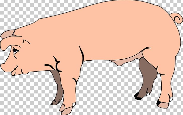Domestic Pig Free Content Fetal Pig PNG, Clipart, Arm, Cartoon, Cattle Like Mammal, Computer, Desktop Wallpaper Free PNG Download