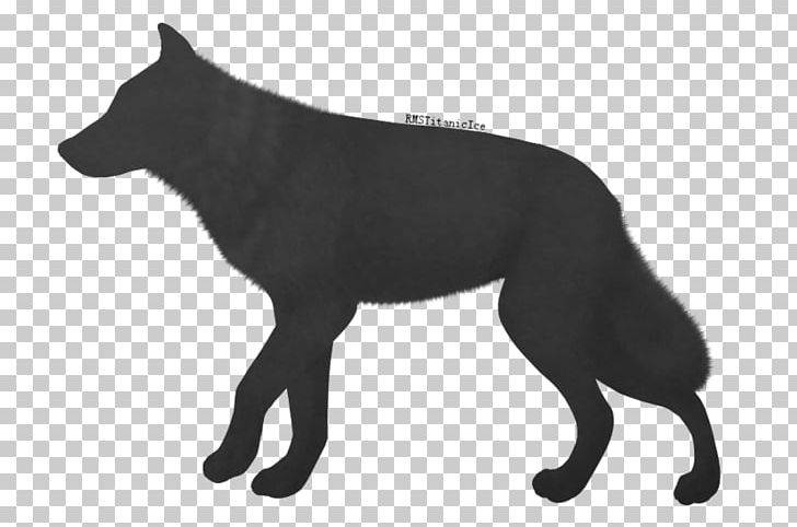 Schipperke Dog Breed Wildlife Fur PNG, Clipart, Black, Black And White, Breed, Carnivoran, Dog Free PNG Download