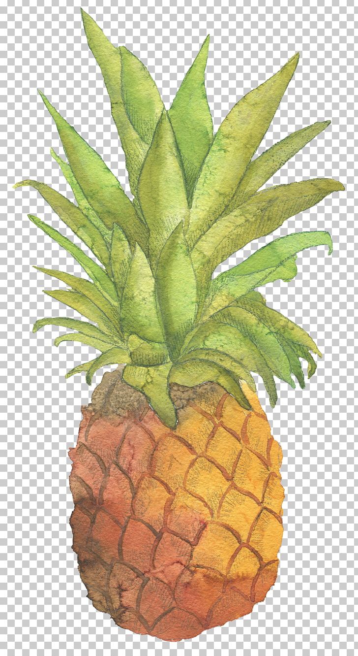 T-shirt Pineapple Sticker Zazzle Fruit PNG, Clipart, Ananas, Brand, Bromeliaceae, Company, Decal Free PNG Download