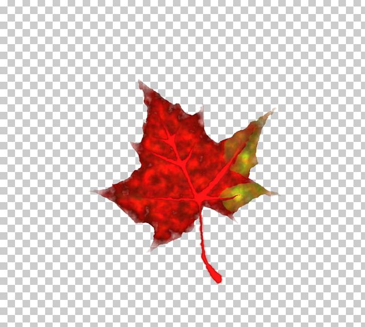 Autumn Leaf Color PNG, Clipart, Autumn, Autumn Leaf Color, Color, Fall Leaf Cartoon, Flowering Plant Free PNG Download
