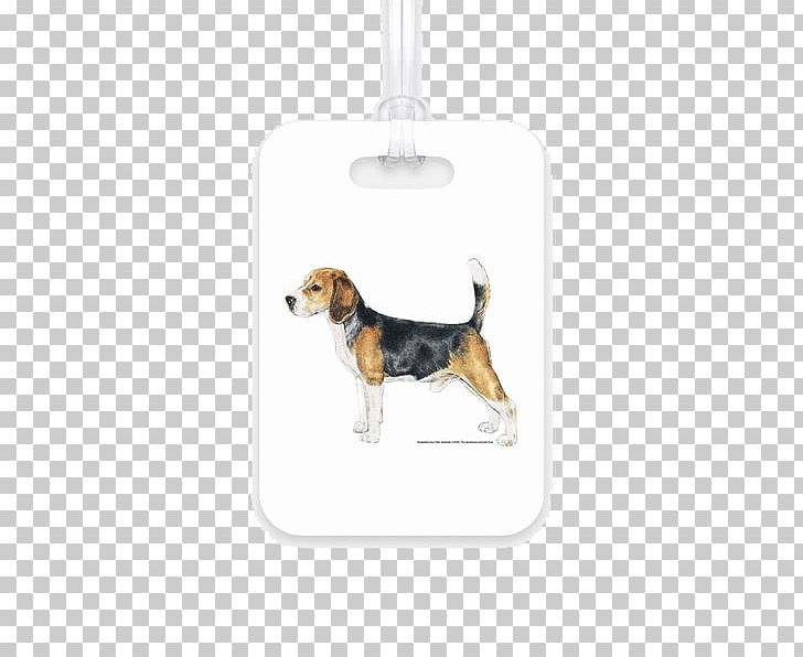 Beagle-Harrier Beagle-Harrier Puppy Golden Retriever PNG, Clipart, American Foxhound, Animals, Basset Hound, Beagle, Beagleharrier Free PNG Download