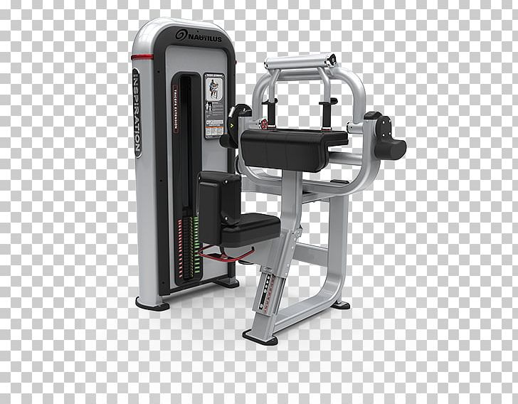 Triceps Brachii Muscle Lying Triceps Extensions Exercise Machine Strength Training Fitness Centre PNG, Clipart, Exercise, Exercise Equipment, Exercise Machine, Fitness Centre, Gym Free PNG Download