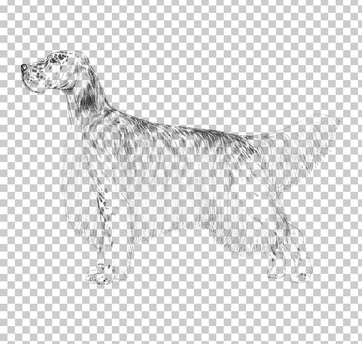 English Setter Dog Breed Spaniel Companion Dog PNG, Clipart, Black And White, Breed, Carnivoran, Companion Dog, Dog Free PNG Download