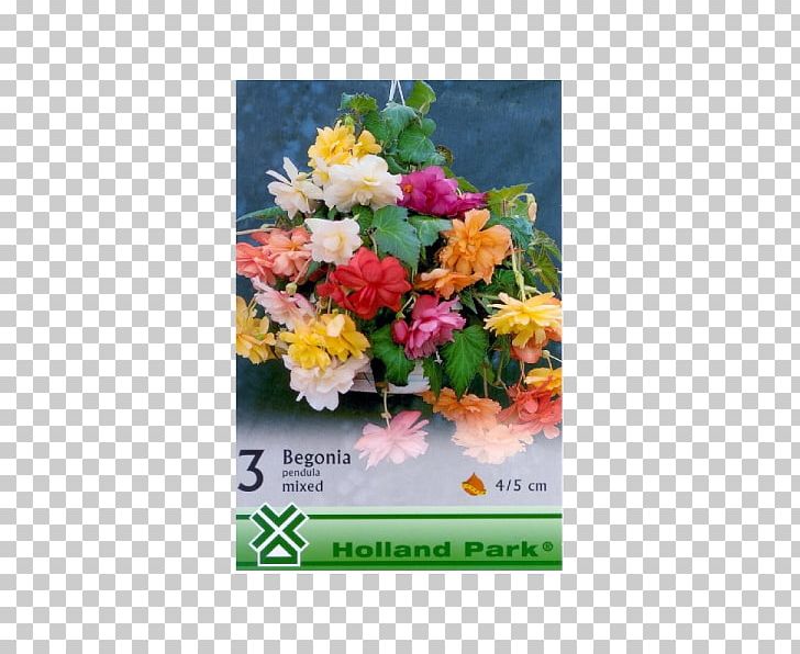 Floral Design Cut Flowers Flower Bouquet PNG, Clipart, Begonia, Cut Flowers, Flora, Floral Design, Floristry Free PNG Download