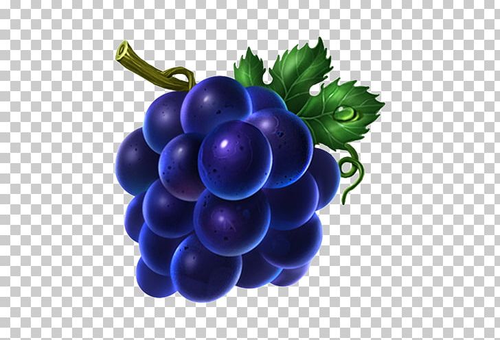 Grape Icon PNG, Clipart, Behance, Berry, Bilberry, Blue, Dribbble Free PNG Download