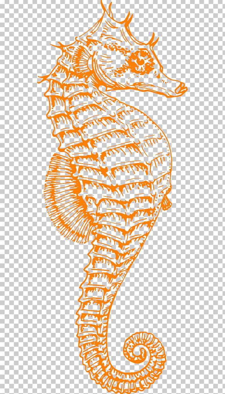 Seahorse Leafy Seadragon PNG, Clipart, Animal, Animals, Area, Art, Clip Art Free PNG Download