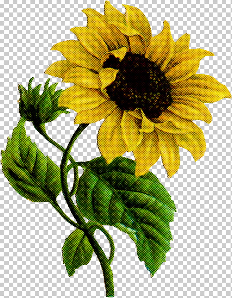 Artificial Flower PNG, Clipart, Artificial Flower, Cut Flowers, Flower, Petal, Plant Free PNG Download