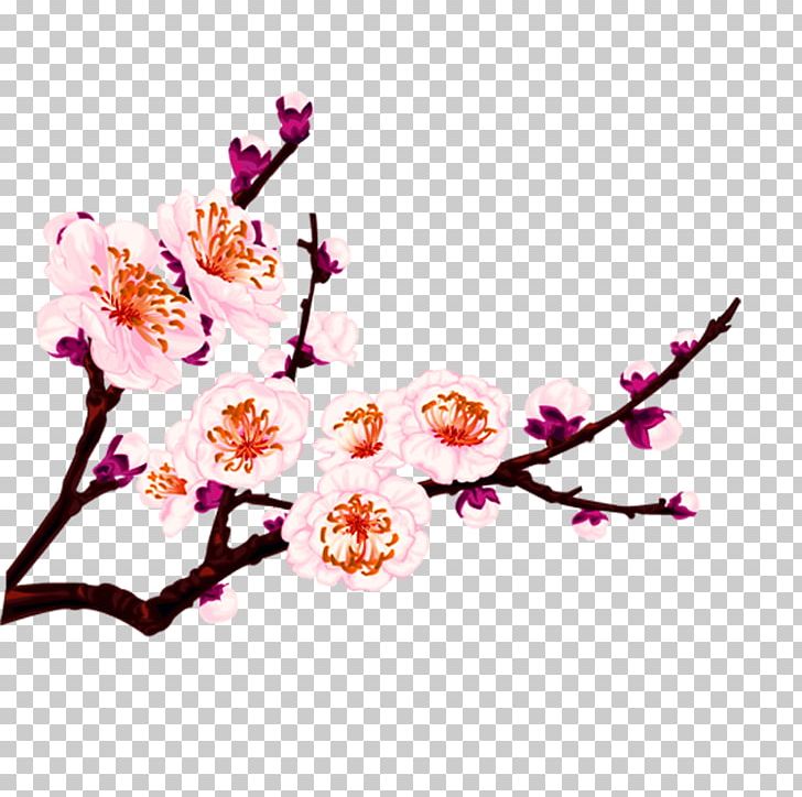 Flower Cdr Adobe Illustrator PNG, Clipart, Art, Blossom, Branch, Cherry Blossom, Cherry Blossoms Free PNG Download