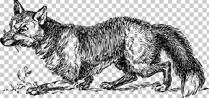 Red Fox Arctic Fox Fox Hunting PNG, Clipart, Arctic Fox, Art, Artwork, Black And White, Carnivoran Free PNG Download
