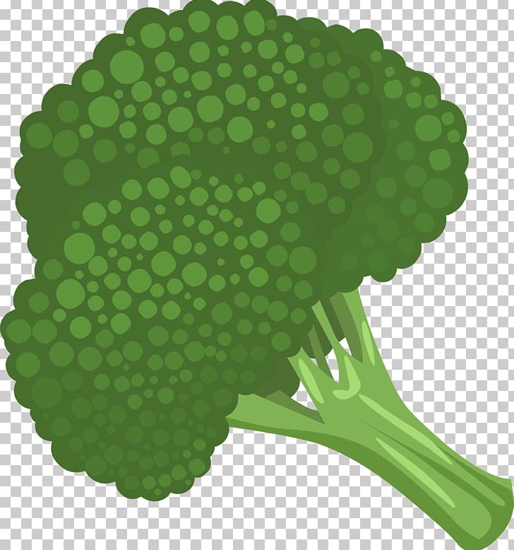 Broccoli Vegetable PNG, Clipart, Cartoon, Cartoon Cauliflower, Cauliflower, Cauliflower Piece, Food Free PNG Download