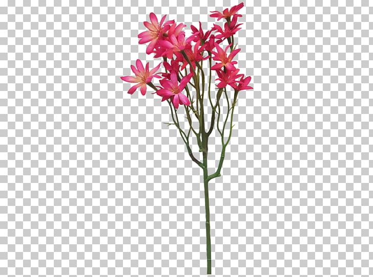 Cut Flowers Floral Design Flowerpot Plant Stem PNG, Clipart, Branch, Cut Flowers, Family, Family Film, Flora Free PNG Download