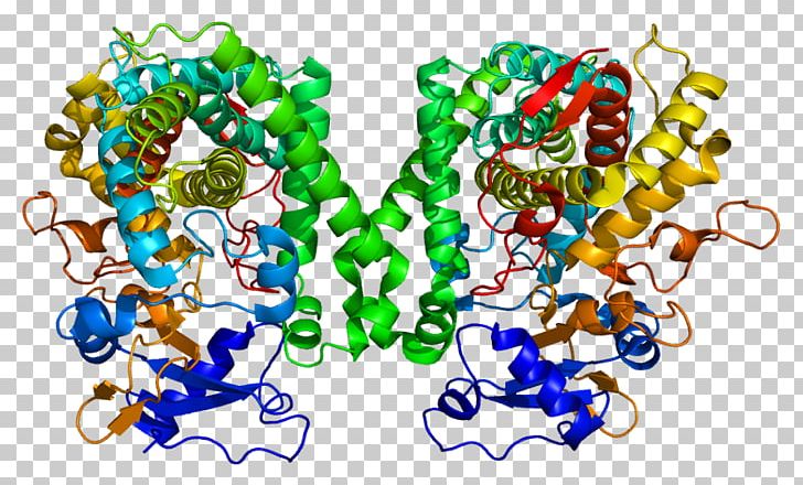 CYP2C8 Cytochrome P450 Cytochrome C Oxidase Gene CYP2C9 PNG, Clipart, Active Site, Art, Cyp2c9, Cytochrome, Cytochrome C Free PNG Download