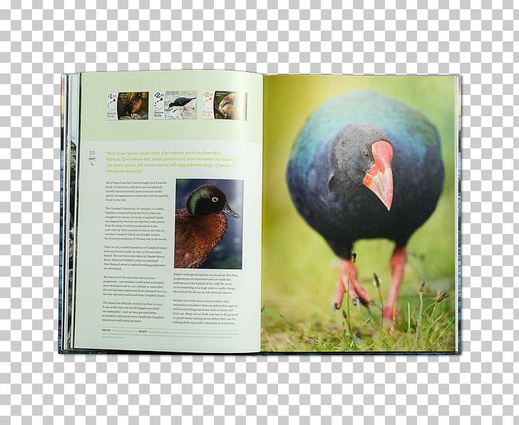 Postage Stamps New Zealand Fauna Stamp Collecting Advertising PNG, Clipart, Advertising, Album, Beak, Fauna, New Zealand Free PNG Download